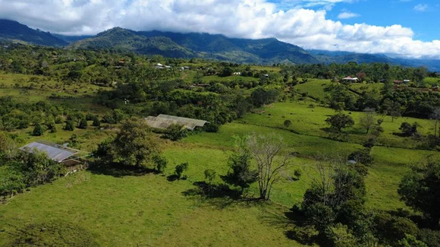 FINCA EN VENTA EN PARAÍSO DE CAJÓN – PLANA, PRODUCTIVA Y LISTA PARA DESARROLLAR - Venta en Perez Zeledón — photo 4