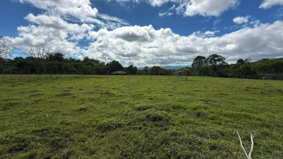 FINCA EN VENTA EN PARAÍSO DE CAJÓN – PLANA, PRODUCTIVA Y LISTA PARA DESARROLLAR - Venta en Perez Zeledón — photo 5