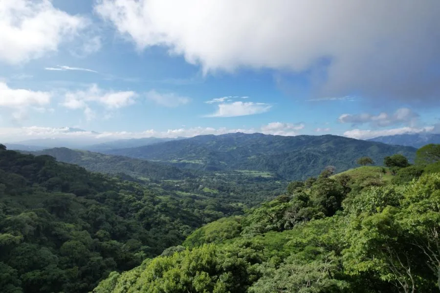 Se vende hermosa finca de 66.000 m² (6,6 hectáreas) - Atenas - Venta en Atenas