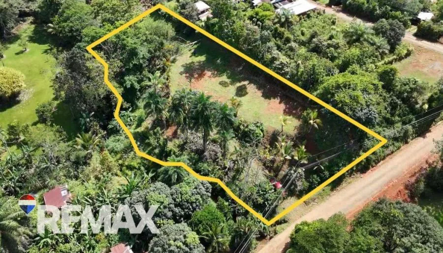 LOTE EN VENTA EN LAS MERCEDES DE CAJÓN, PÉREZ ZELEDÓN – 2,466 M² - Venta en Perez Zeledón