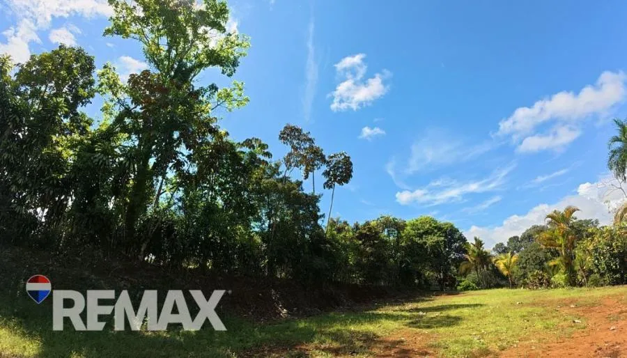 LOTE EN VENTA EN LAS MERCEDES DE CAJÓN, PÉREZ ZELEDÓN – 2,466 M² - Venta en Perez Zeledón — photo 5