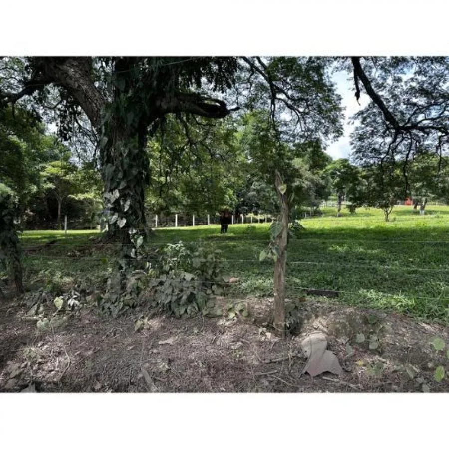 VENTA DE LOTE, ALAJUELA, ALAJUELA, TURRUCARES - Venta en Alajuela