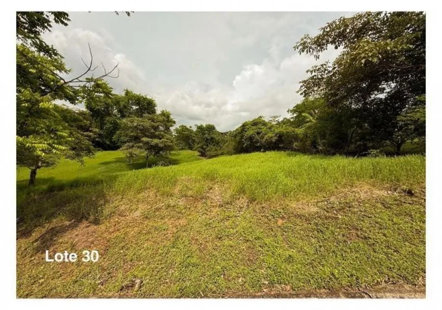 Venta de Lote en Orotina de Alajuela. RAH 26-880 - Venta en Orotina