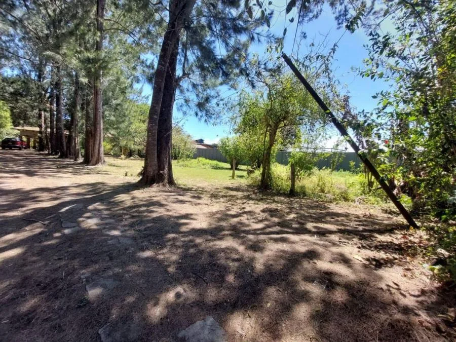Oficina En Alquiler De 92 M² En Oficentro En Escazú; Idi: 135524 - Alquiler / Renta en San Rafael — photo 2
