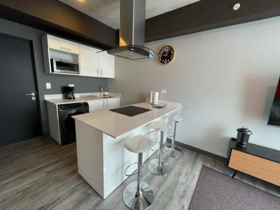 Alquiler de Moderno Apartamento Amoblado en Mata Redonda, San José. - Alquiler / Renta en Mata Redonda