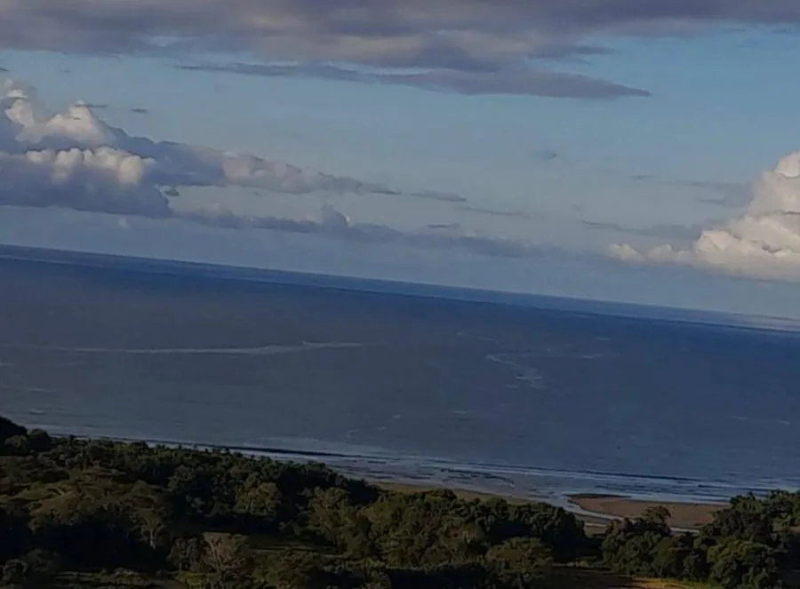 &amp;#127775; **¡Oportunidad Única! Preciosa Finca en Savegre, Quepos, Puntarenas** &amp;#127775; - Venta en Quepos