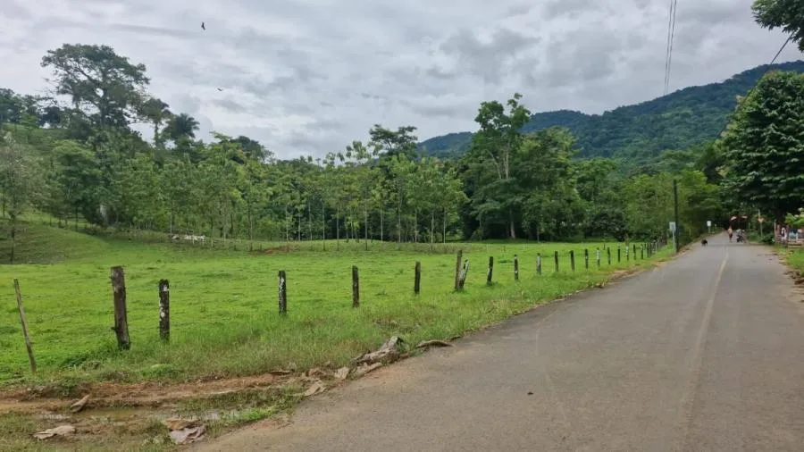 PUNTARENAS PARRITA RENTO CASA EN FINCA DE 489.777 m2 - Alquiler / Renta en Parrita