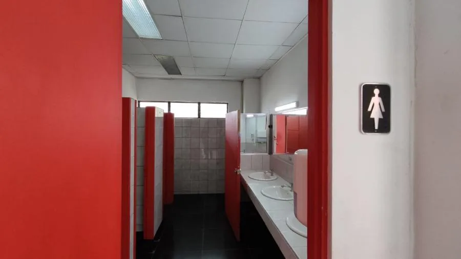 Edificio en alquiler en San José, Barrio Tournon. PVV7079202 - Alquiler / Renta en Goicoechea — photo 4