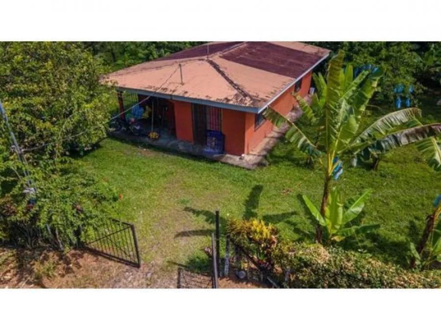 VENTA DE FINCA, LIMÓN, POCOCI, SAN JORGE - Venta en Pococí