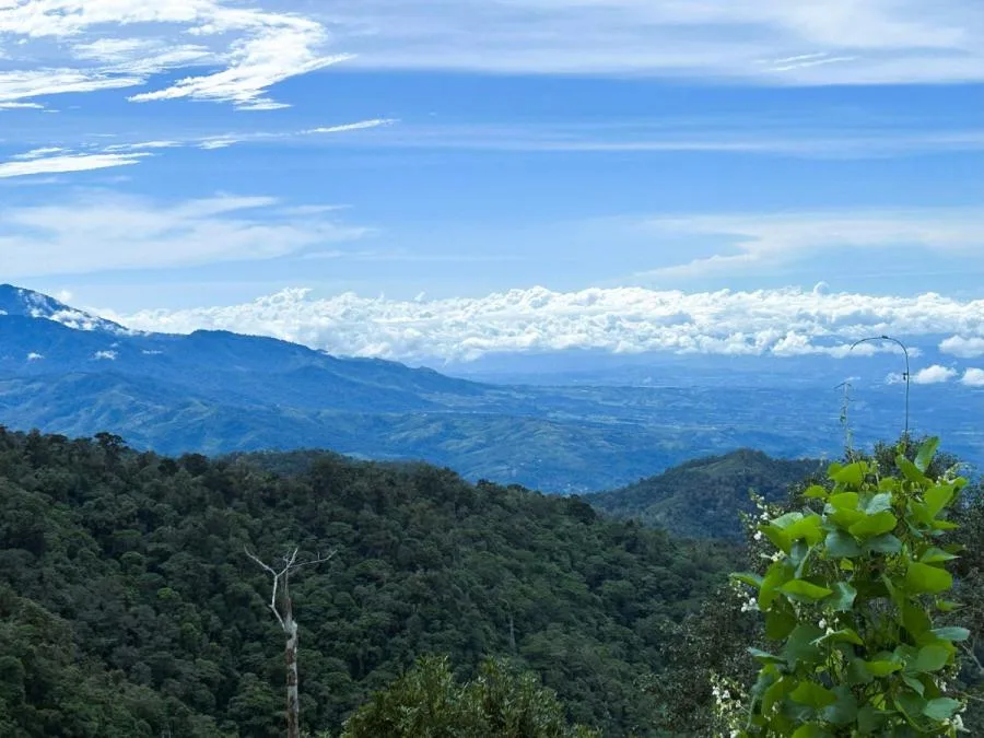  HERMOSO LOTE EN VENTA TE ESPERA EN LA TRANQUILA DIVISIÓN DE PÁRAMO - Venta en Perez Zeledón — photo 2