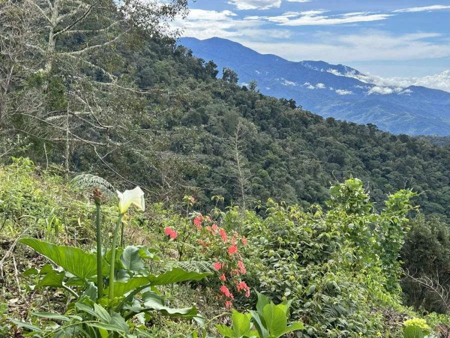  HERMOSO LOTE EN VENTA TE ESPERA EN LA TRANQUILA DIVISIÓN DE PÁRAMO - Venta en Perez Zeledón — photo 4