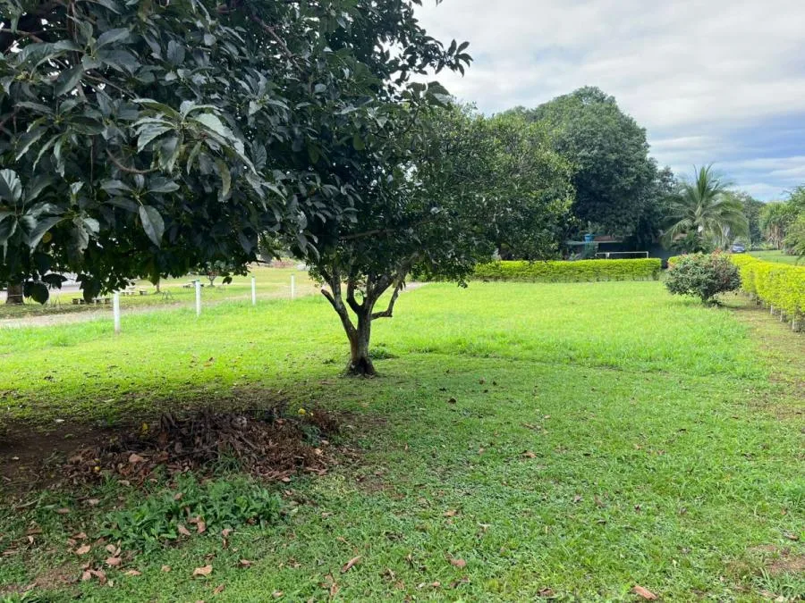 ALAJUELA OROTINA VENDO LOTE 1.000 m2 - Venta en Orotina