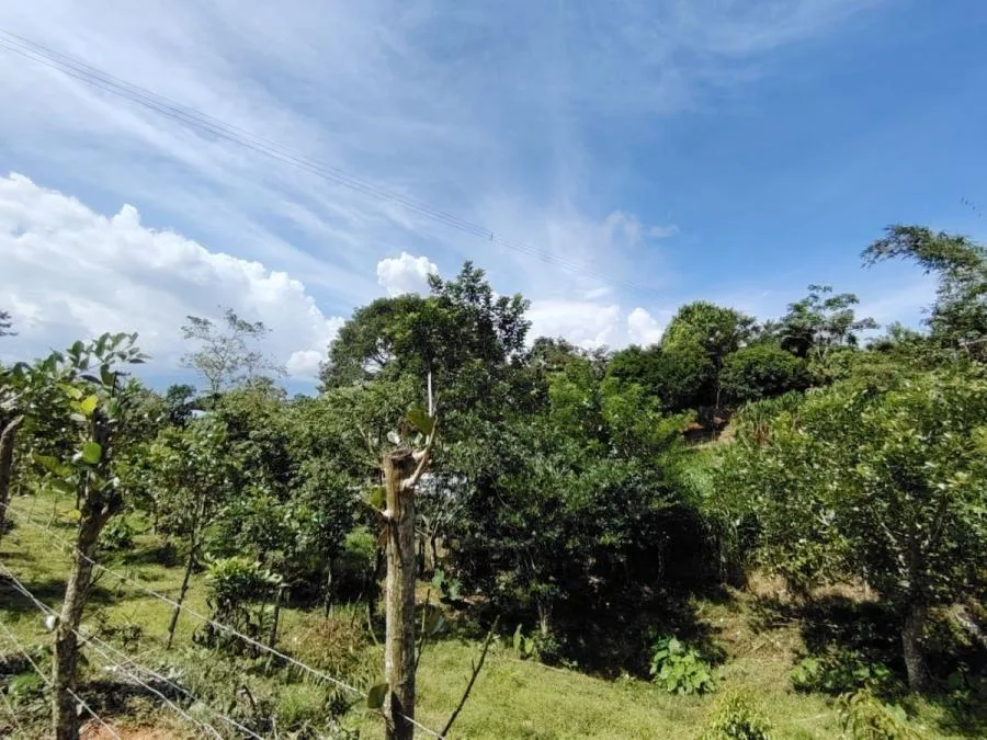 SE VENDE - LOTE PRIVADO EN SAN JUAN BOSCO - Venta en Perez Zeledón — photo 3