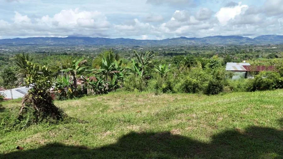 TERRENO EN LA LINDA DE PÉREZ, CON VISTAS Y CLIMA DE MONTAÑA. - Venta en Perez Zeledón — photo 4