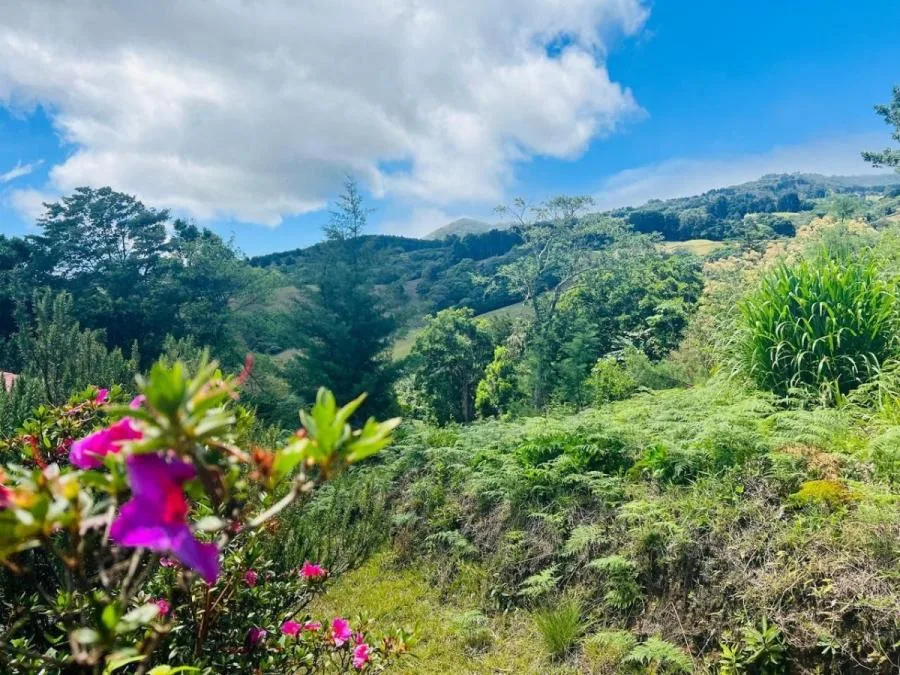 Venta de Lote en Barva, Heredia. RAH 25-1691 - Venta en Barva