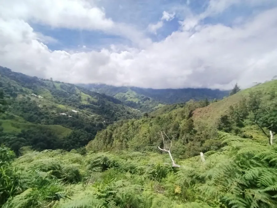 SE VENDE LOTE CON GRAN PRIVACIDAD, EN RIVAS COSTA RICA, PZ. - Venta en Perez Zeledón