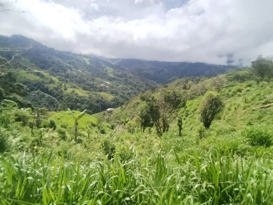 SE VENDE LOTE CON GRAN PRIVACIDAD, EN RIVAS COSTA RICA, PZ. - Venta en Perez Zeledón — photo 2