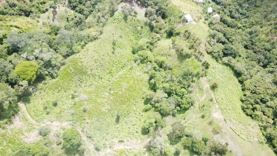 SE VENDE LOTE CON GRAN PRIVACIDAD, EN RIVAS COSTA RICA, PZ. - Venta en Perez Zeledón — photo 3
