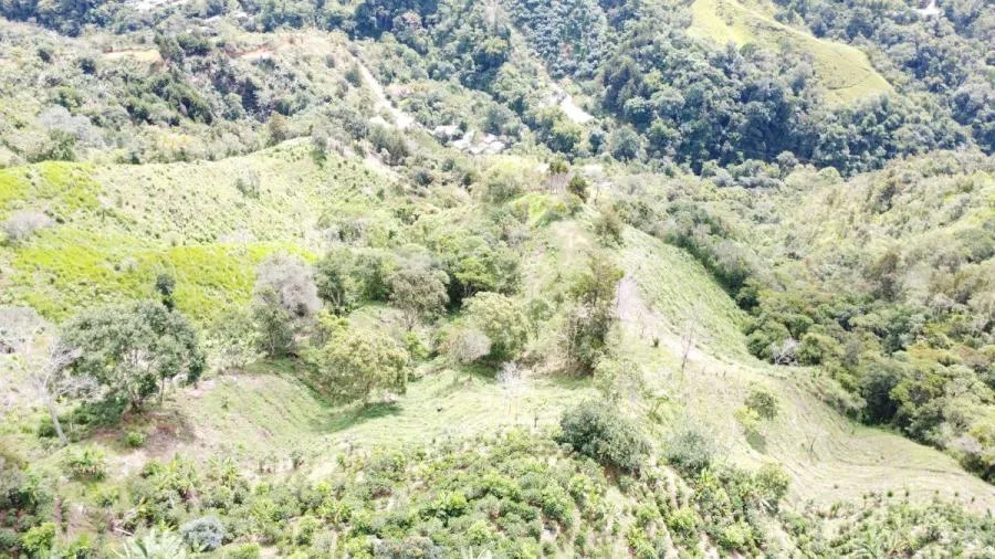 SE VENDE LOTE CON GRAN PRIVACIDAD, EN RIVAS COSTA RICA, PZ. - Venta en Perez Zeledón — photo 4