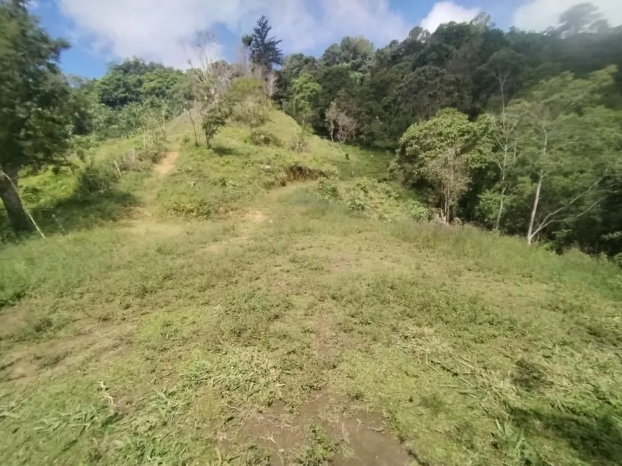 SE VENDE LOTE CON GRAN PRIVACIDAD, EN RIVAS COSTA RICA, PZ. - Venta en Perez Zeledón — photo 5