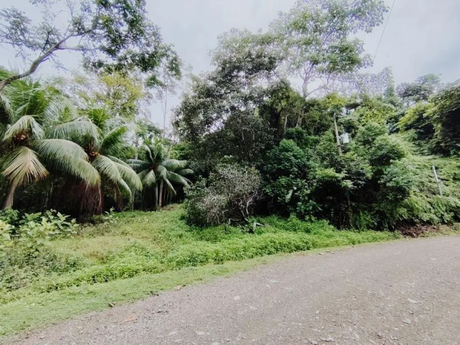 SE VENDE: 7,482 M² EN OSA | TERRENO CON BOSQUE, QUEBRADA Y CERCA DE PLAYAS Y SERVICIOS - Venta en Quepos