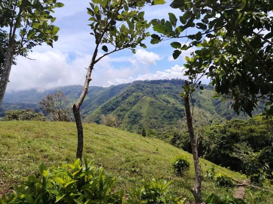TERRENO EN VENTA EN COSTA RICA PRIVADO Y CON CLIMA IDEAL - Venta en Perez Zeledón