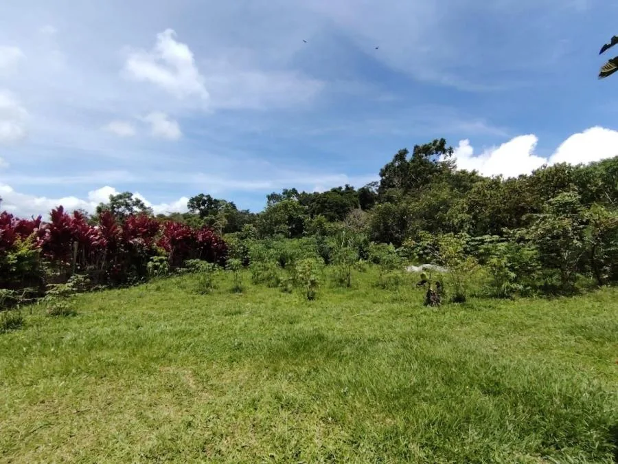 TERRENO EN VENTA EN COSTA RICA PRIVADO Y CON CLIMA IDEAL - Venta en Perez Zeledón — photo 4