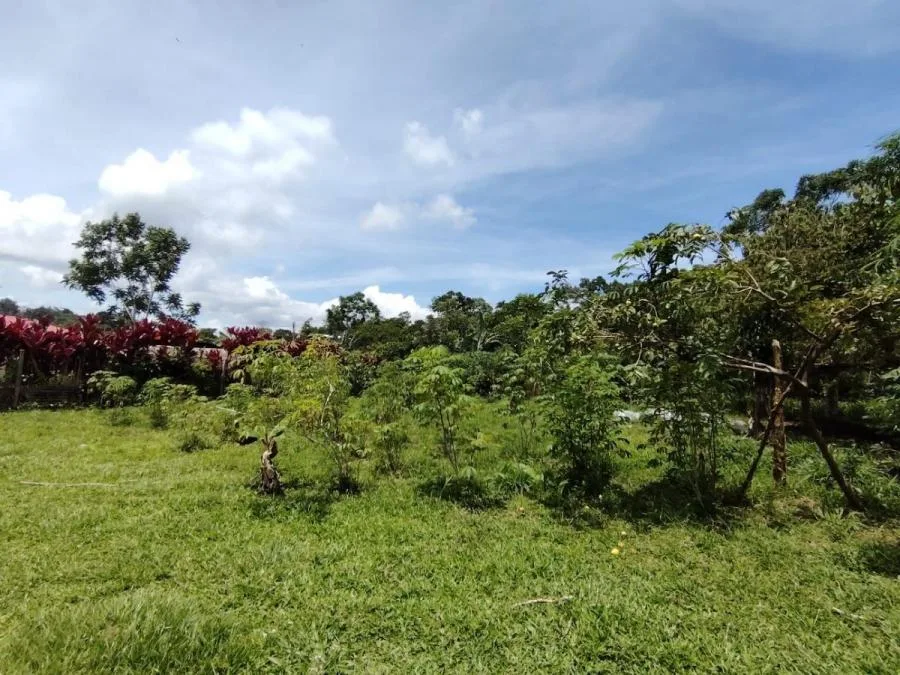 TERRENO EN VENTA EN COSTA RICA PRIVADO Y CON CLIMA IDEAL - Venta en Perez Zeledón — photo 5