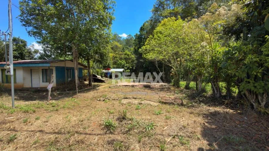 LOTE EN VENTA EN LAS JUNTAS DE PACUAR, PÉREZ ZELEDÓN – 1,200 m² PLANO Y LISTO PARA CONSTRUIR - Venta en Perez Zeledón