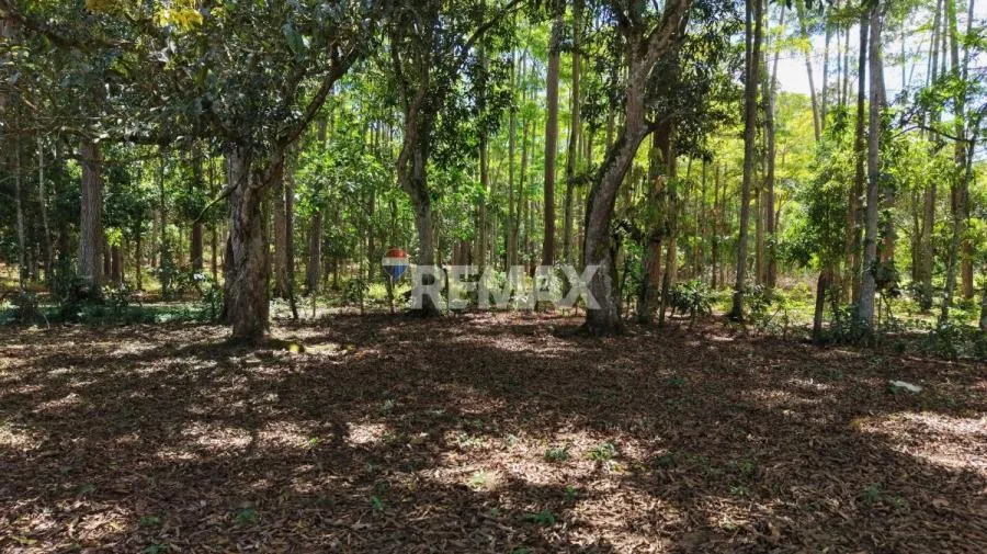 LOTE EN VENTA EN LAS JUNTAS DE PACUAR, PÉREZ ZELEDÓN – 1,200 m² PLANO Y LISTO PARA CONSTRUIR - Venta en Perez Zeledón — photo 3