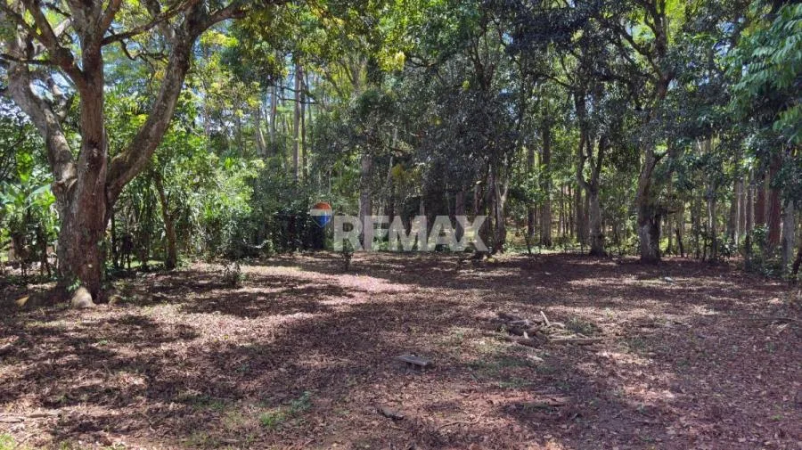 LOTE EN VENTA EN LAS JUNTAS DE PACUAR, PÉREZ ZELEDÓN – 1,200 m² PLANO Y LISTO PARA CONSTRUIR - Venta en Perez Zeledón — photo 4