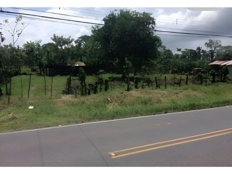 VENTA DE LOTE MIXTO LIMON, GUÁPILES, POCOCÍ - Venta en Guápiles