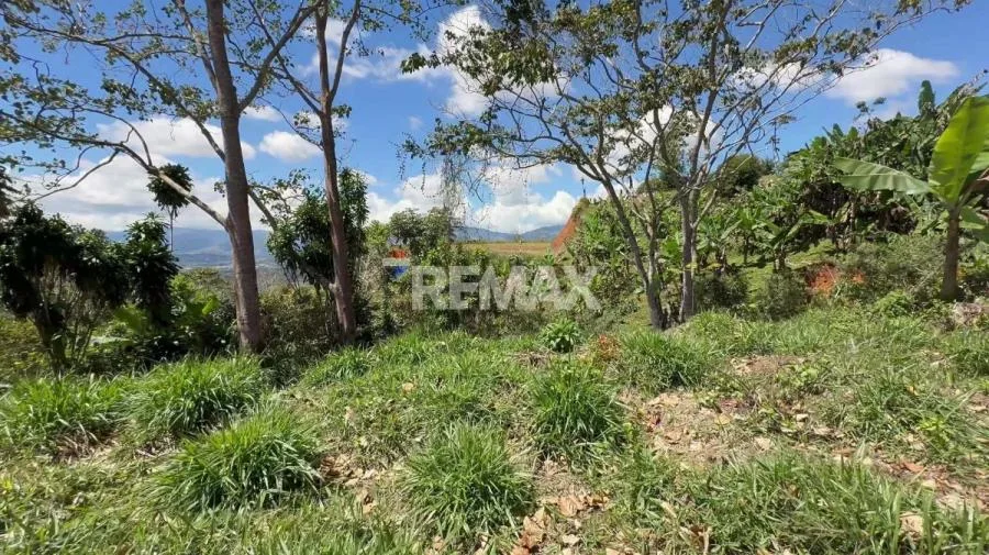 LOTE EN VENTA EN MIRAVALLES, PÉREZ ZELEDÓN – 600 m² CON VISTA Y LISTO PARA CONSTRUIR - Venta en Perez Zeledón — photo 2
