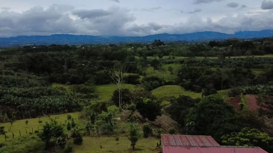 LOTE EN LA LINDA DE GENERAL VIEJO – 2,844 M² / 30,610 FT² PARA CONSTRUIR TU HOGAR IDEAL - Venta en Perez Zeledón — photo 3