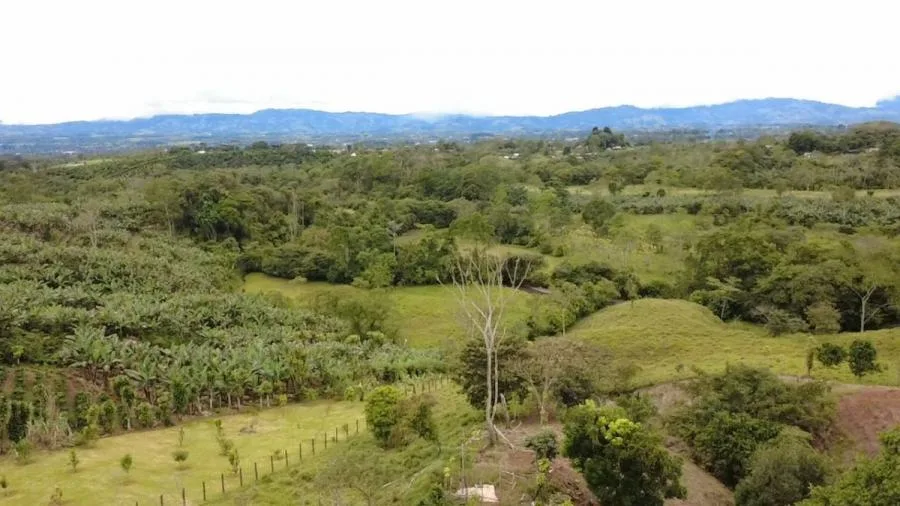 LOTE EN LA LINDA DE GENERAL VIEJO – 2,844 M² / 30,610 FT² PARA CONSTRUIR TU HOGAR IDEAL - Venta en Perez Zeledón — photo 4