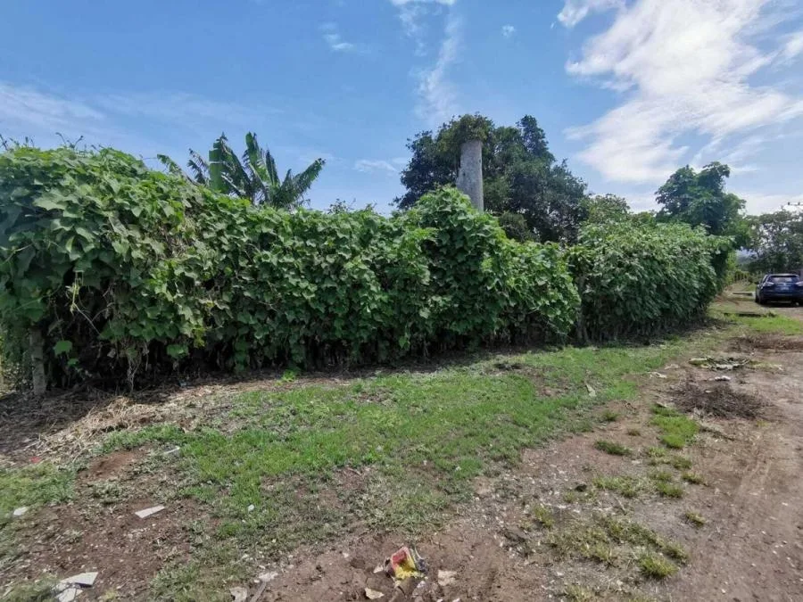 Venta de Lote en Santo Domingo, Heredia. RAH 26-417 - Venta en Santo Domingo — photo 3