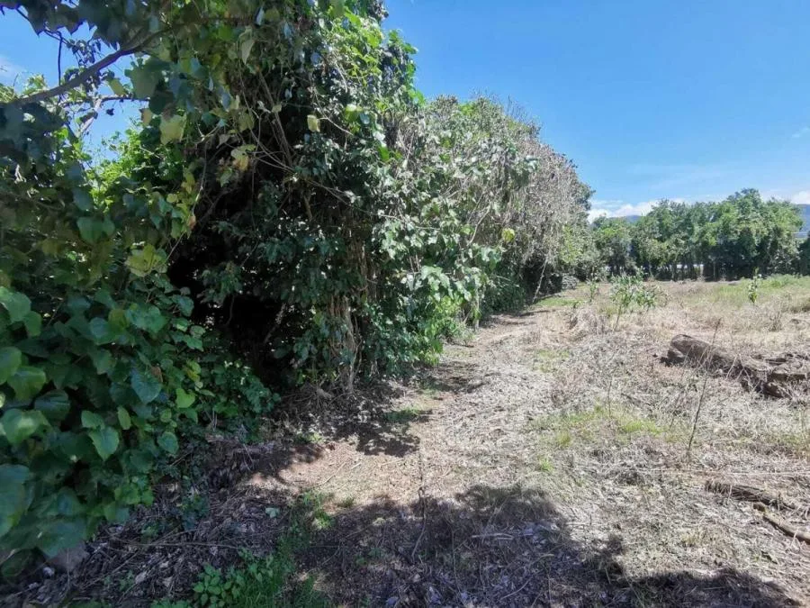Venta de Lote en Santo Domingo, Heredia. RAH 26-417 - Venta en Santo Domingo — photo 4