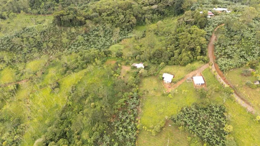 MAS DE 5 ACRES CON NACIENTES Y VISTA MONTAÑAS RIVAS - Venta en Perez Zeledón
