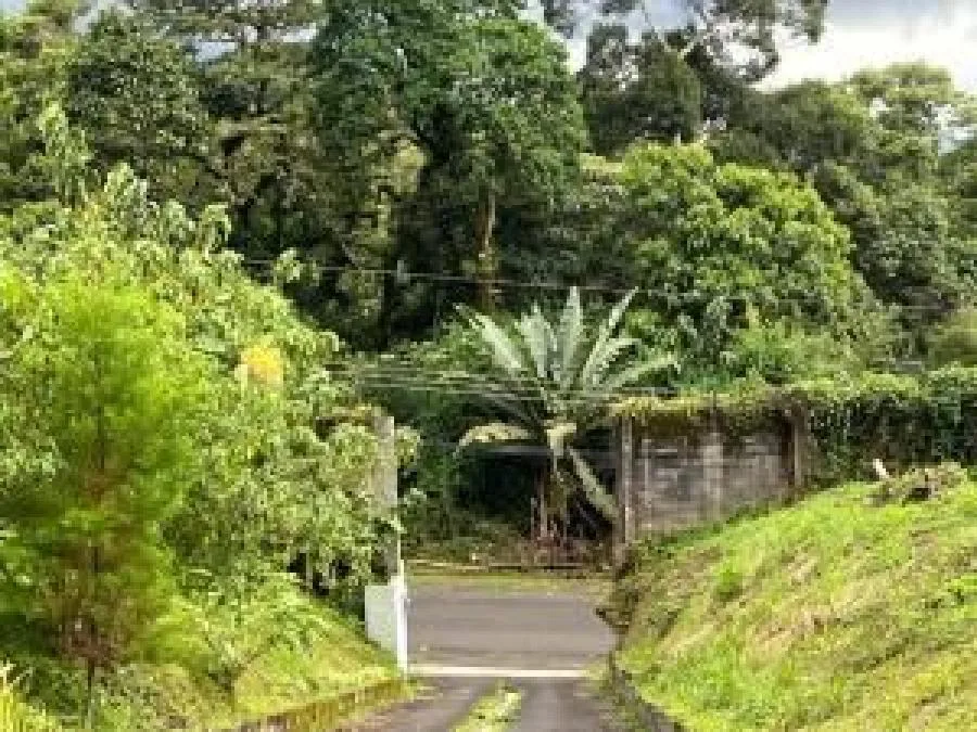 Venta de lote para construir la casa de su sueño rodeado de naturaleza OFC25-768 - Venta en La Unión