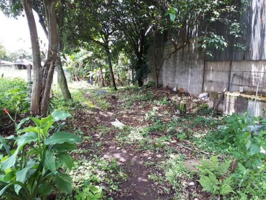 Venta de Apartamento en Bambú Eco plaza, San José. RAH 26-2006 - Venta en San José — photo 3