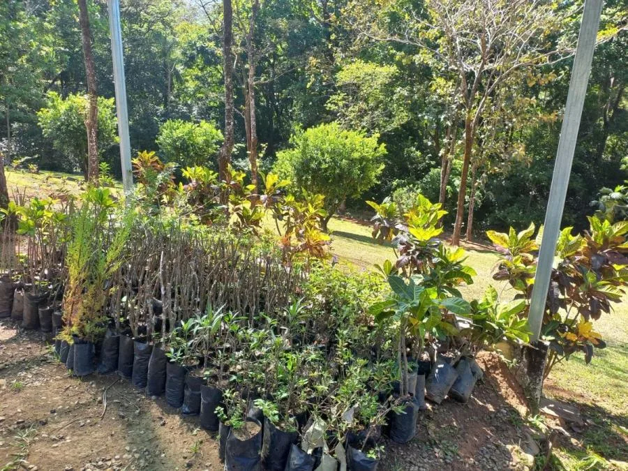 Venta de Finca en Turrûbares, San Josê. RAH 25-1881 - Venta en Turrubares — photo 4