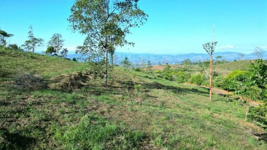 LOTE EN VENTA COMUNIDAD RISE, VISTAS Y PRIVACIDAD, PZ. - Venta en Perez Zeledón — photo 3