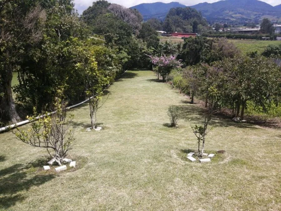 MLS-25-632 LS VENTA CASA SANTO DOMINGO HEREDIA - Venta en Santo Domingo — photo 4