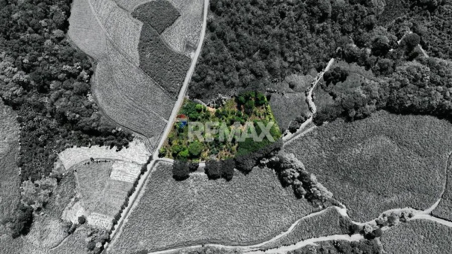 LOTE EN VENTA EN LAS MERCEDES DE CAJÓN, PÉREZ ZELEDÓN – 10,718 m² CON VISTA Y ÁRBOLES FRUTALES - Venta en Perez Zeledón