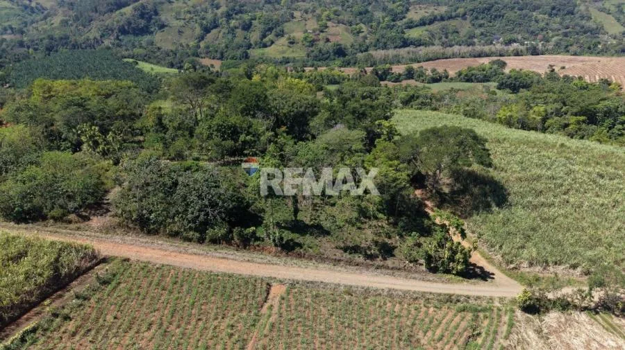 LOTE EN VENTA EN LAS MERCEDES DE CAJÓN, PÉREZ ZELEDÓN – 10,718 m² CON VISTA Y ÁRBOLES FRUTALES - Venta en Perez Zeledón — photo 2