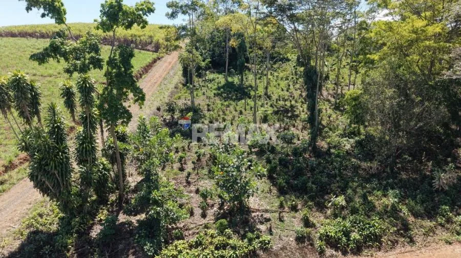 LOTE EN VENTA EN LAS MERCEDES DE CAJÓN, PÉREZ ZELEDÓN – 10,718 m² CON VISTA Y ÁRBOLES FRUTALES - Venta en Perez Zeledón — photo 3