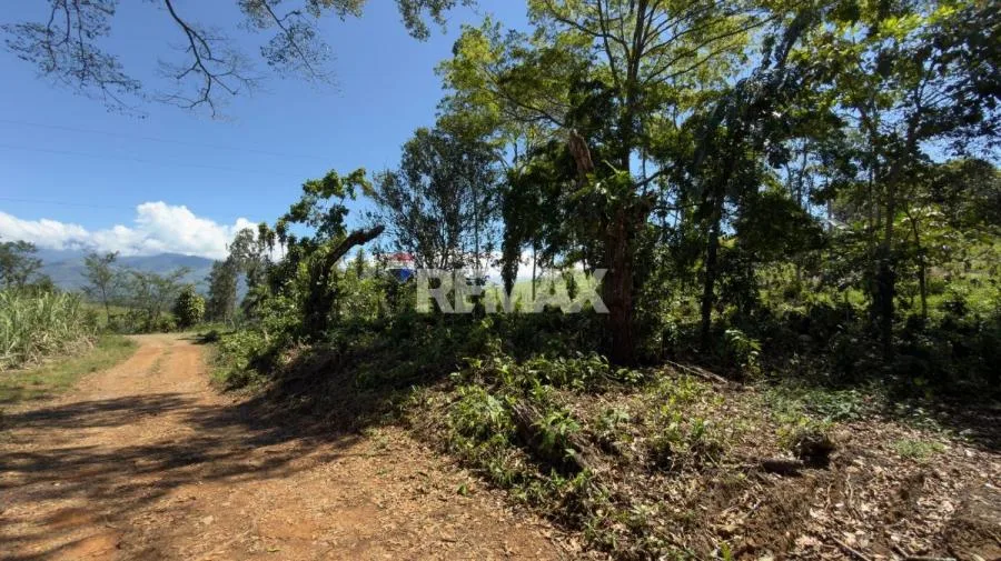 LOTE EN VENTA EN LAS MERCEDES DE CAJÓN, PÉREZ ZELEDÓN – 10,718 m² CON VISTA Y ÁRBOLES FRUTALES - Venta en Perez Zeledón — photo 4