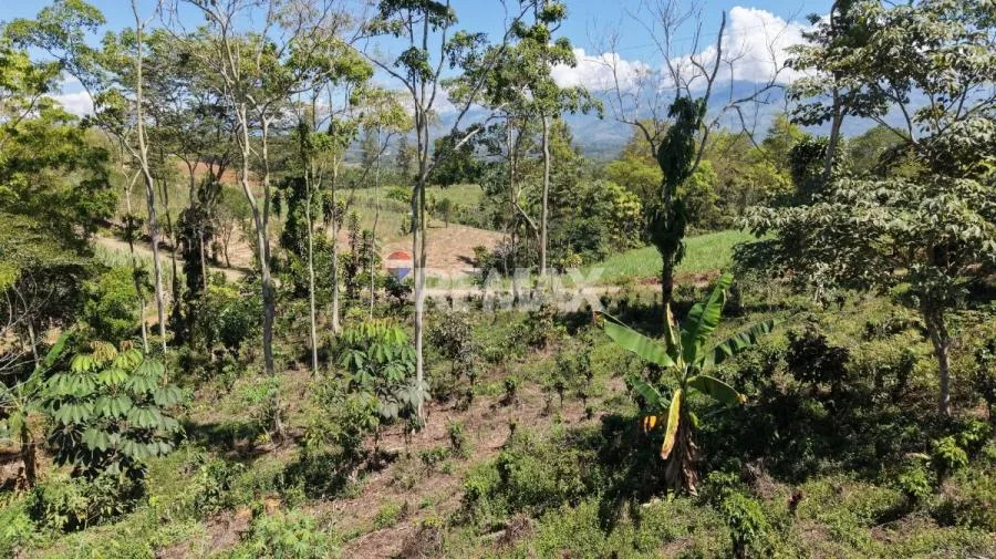 LOTE EN VENTA EN LAS MERCEDES DE CAJÓN, PÉREZ ZELEDÓN – 10,718 m² CON VISTA Y ÁRBOLES FRUTALES - Venta en Perez Zeledón — photo 5
