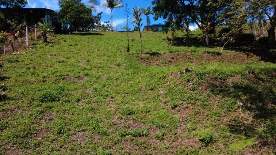 LOTE EN VENTA EN SANTA CECILIA DE SAN PEDRO – EXCELENTE PRECIO Y UBICACIÓN - Venta en Perez Zeledón — photo 4