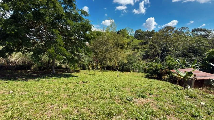 LOTE EN VENTA EN SANTA CECILIA DE SAN PEDRO – EXCELENTE PRECIO Y UBICACIÓN - Venta en Perez Zeledón — photo 5